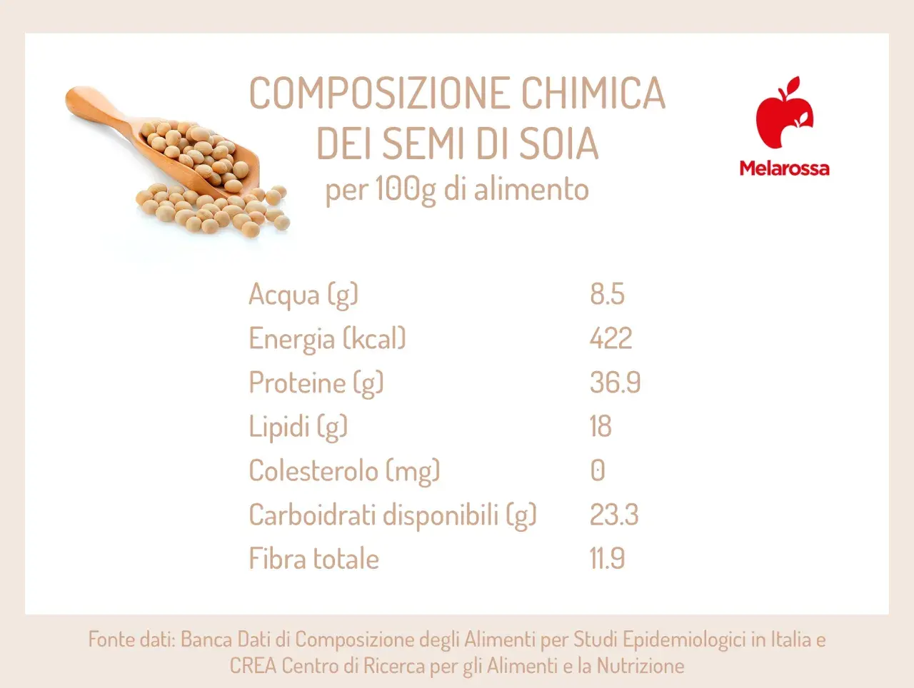 Composizione chimica dei semi di soia: scopri le proprietà nutrizionali, ricche di proteine e fibre, con pochi lipidi e zero colesterolo.