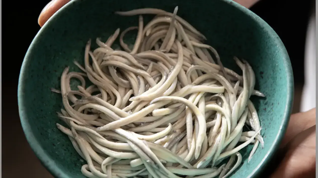 Un cuenco verde lleno de angulas congeladas, listas para ser cocinadas.