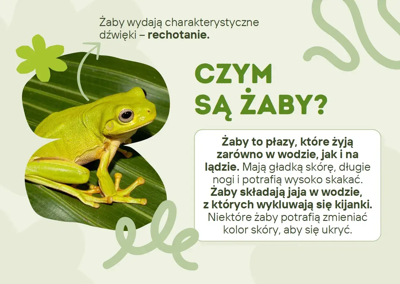 Zielona żaba siedząca na liściu, z tekstem "Czym są żaby?".