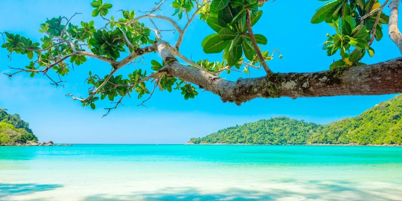 Traumhafte Bucht mit türkisblauem Wasser und üppiger Vegetation. Perfekt für die besten Reiseziele im Juli.
