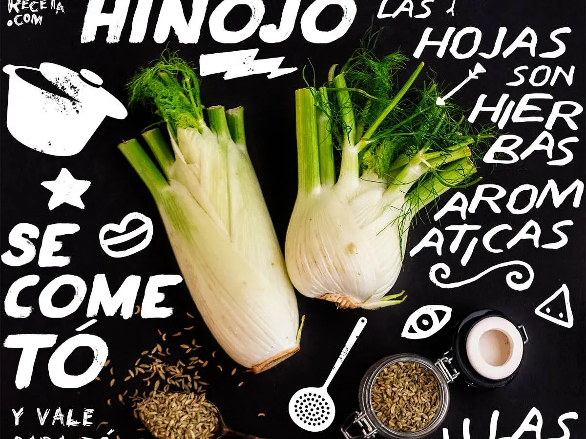 Hinojo: se come todo, sus hojas son hierbas aromáticas. Ideal para dar sabor a tus platos.