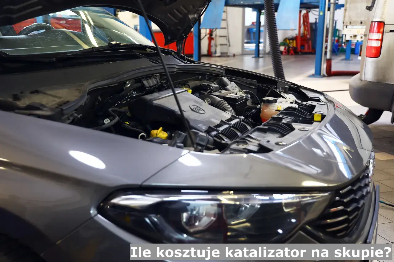 Ile za katalizator w skupie? Poznaj ceny i sprzedaj z zyskiem!
