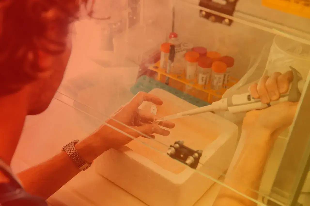 Badacz pracuje w komorze laminarnym, precyzyjnie pobierając próbki pipetą. To kluczowy etap w badaniach nad biotechnologią molekularną.