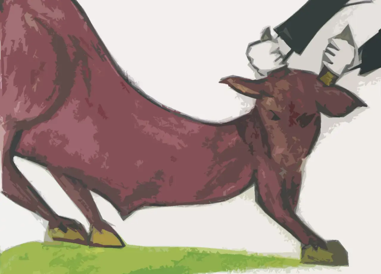 Toro bravo en la arena, con sus expresivas expresiones taurinas, listo para la faena.
