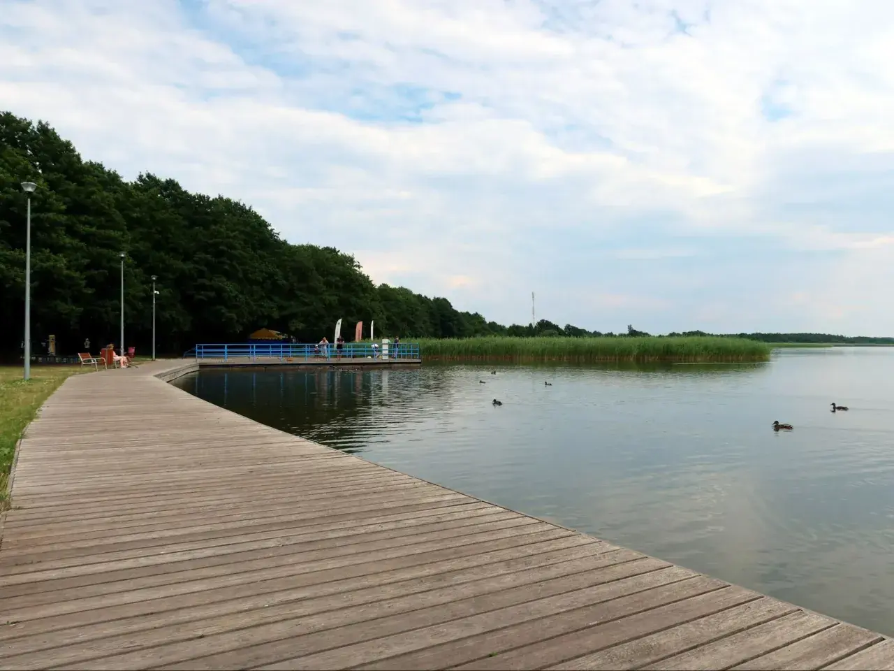 Drewniana promenada nad jeziorem, z widokiem na trzciny i pływające kaczki. Dąbki atrakcje dla miłośników natury i spokoju.