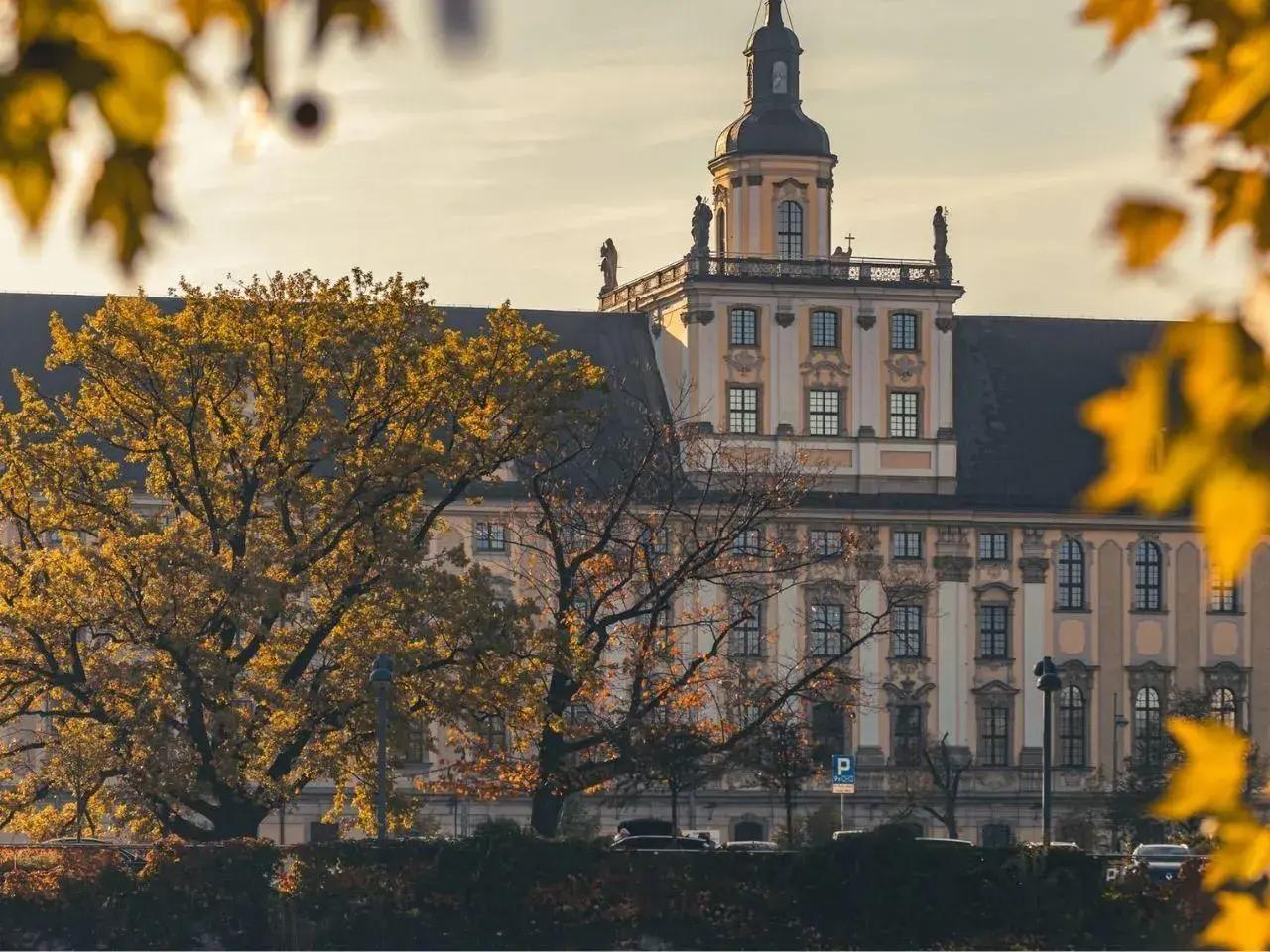 Jesienne drzewa na tle zabytkowego budynku uniwersyteckiego we Wrocławiu.
