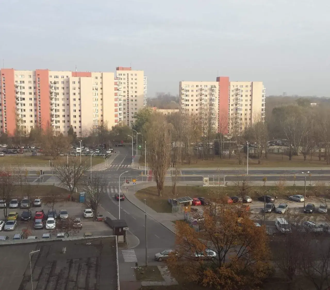 Odwołanie prezesa spółdzielni: Prawa, procedura i skuteczne kroki