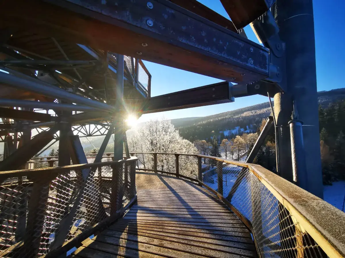 Świeradów Zdrój Sky Walk w zimowej odsłonie. Drewniana ścieżka wśród mroźnych drzew, słońce przebija się przez konstrukcję.