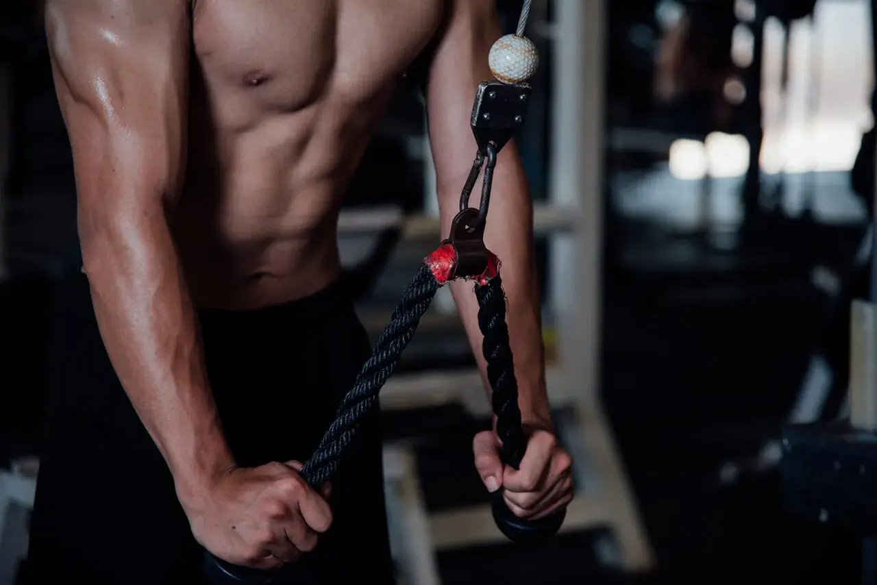Mięśnie tricepsów w akcji. Ile serii na triceps w tygodniu to klucz do sukcesu.