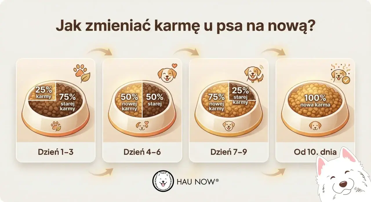Grafika pokazuje, jak stopniowo wprowadzać nową karmę dla psa. Od 25% nowej karmy przez 50/50, aż do 100% nowej karmy.