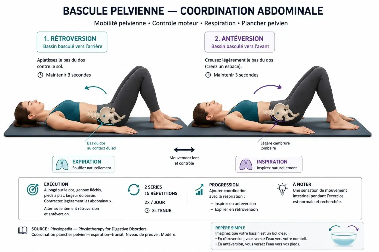 Femme en position allongée effectuant des mouvements de bascule pelvienne pour assouplir les lombaires, alternant rétroversion et antéversion.