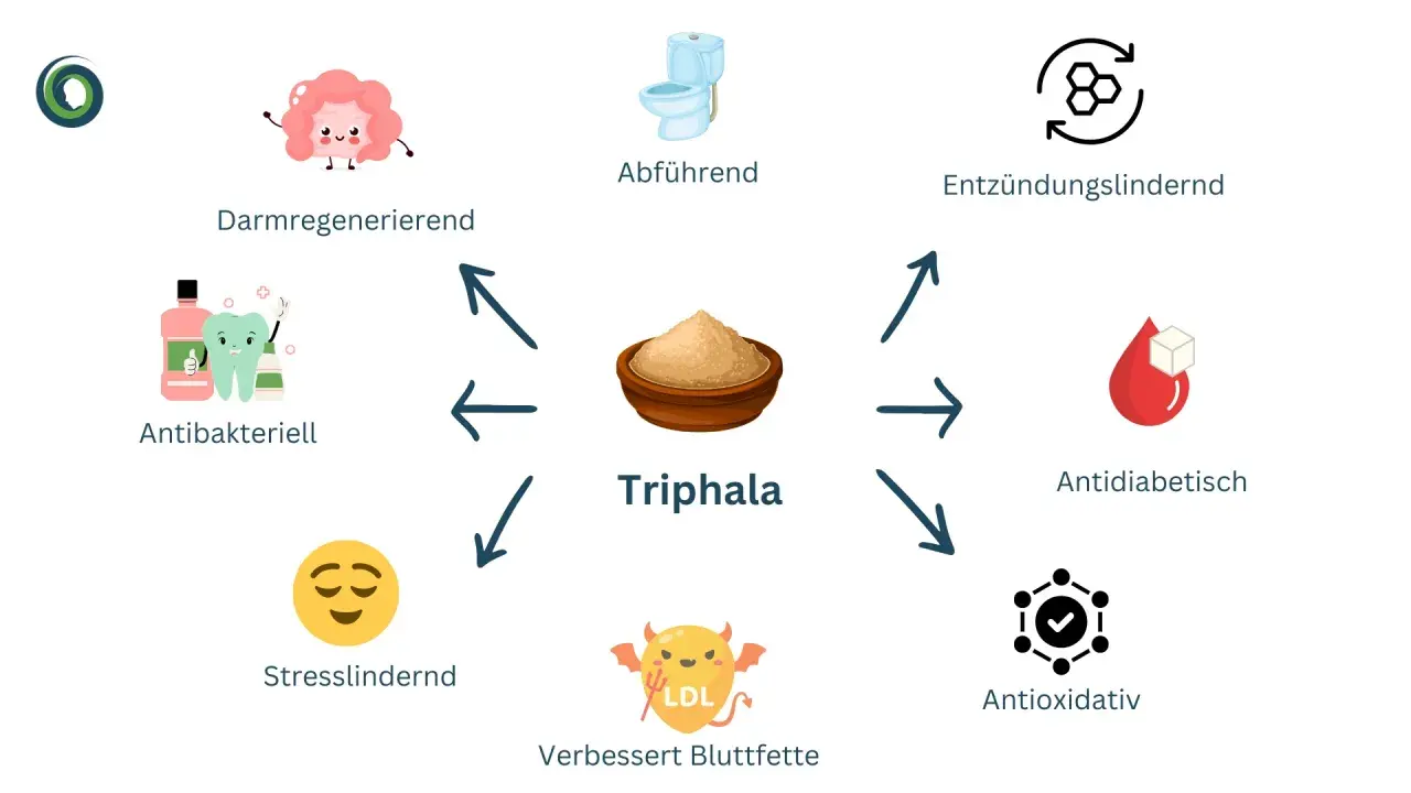Die bio triphala wirkung: Darmregenerierend, abführend, entzündungslindernd, antidiabetisch, antioxidativ, verbessert Blutfette, stresslindernd, antibakteriell.