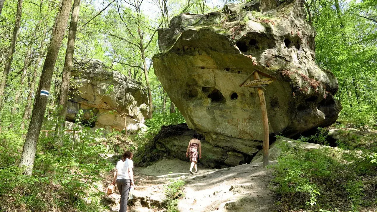 Spacerowicze na trasie przez Ciężkowice – Skamieniałe Miasto. Monumentalne skały tworzą niezwykły krajobraz.