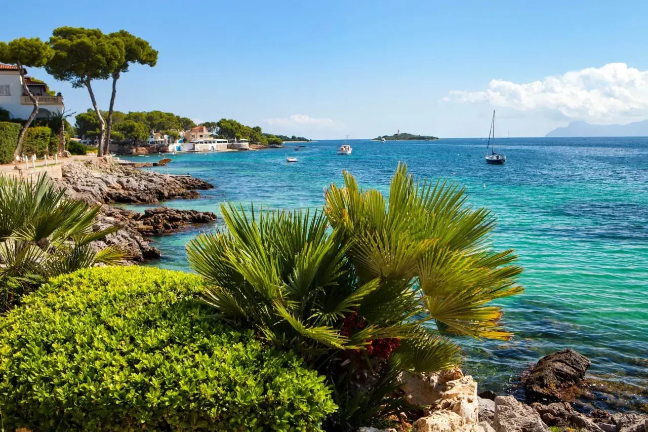 Palmen und üppiges Grün säumen den felsigen Küstenabschnitt am Alcudia Strand. Türkisfarbenes Wasser schimmert, Boote treiben auf dem Meer.