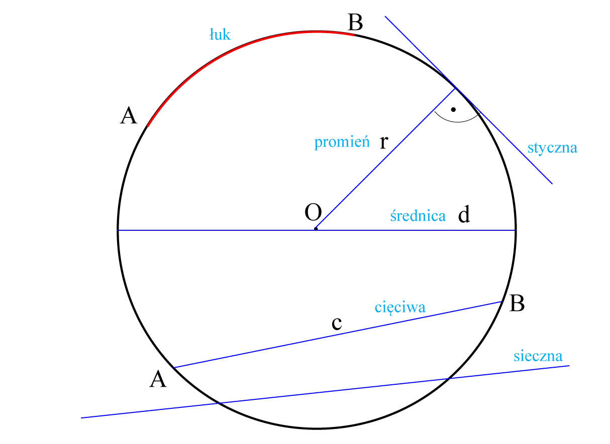 Ilustracja geometryczna z łukiem, promieniem, średnicą, cięciwą i sieczną. Obwód koła jest tu przedstawiony w kontekście tych elementów.