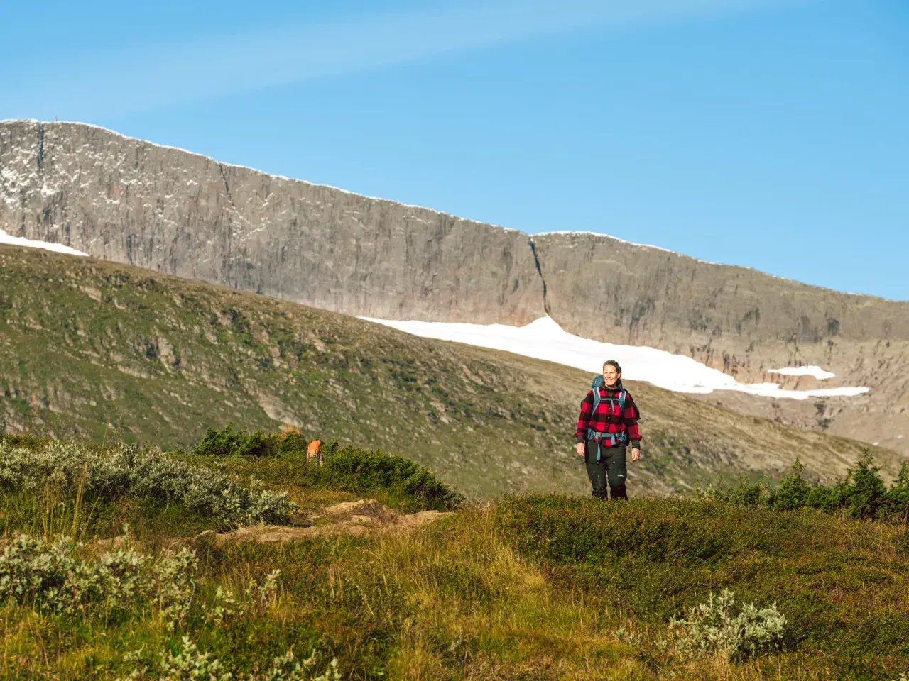 En kvinna på helags topptur njuter av utsikten över fjällmassivet. Solen lyser på den gröna sluttningen.