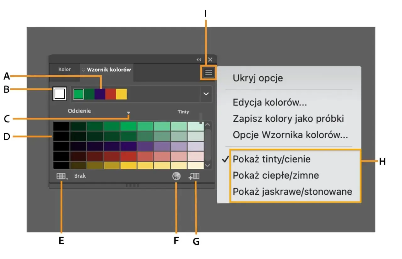 Panel "Wzornik kolorów" w Adobe, z paletą barw i opcjami wyświetlania odcieni.