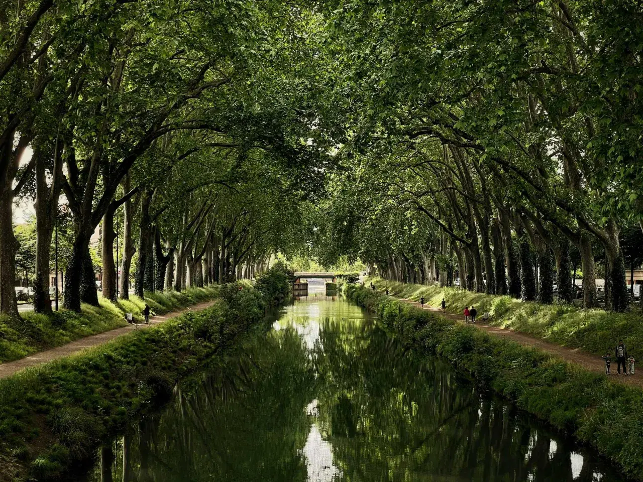 A serene canal du midi bike tour path lined with lush trees, their branches forming a green canopy over the tranquil water reflecting the scene.