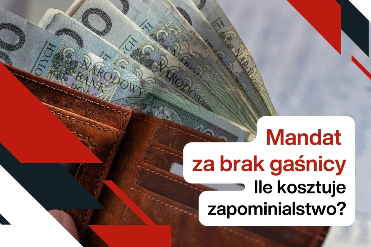 Portfel z polskimi banknotami. Jaki mandat za brak gaśnicy? Ile kosztuje zapominialstwo?