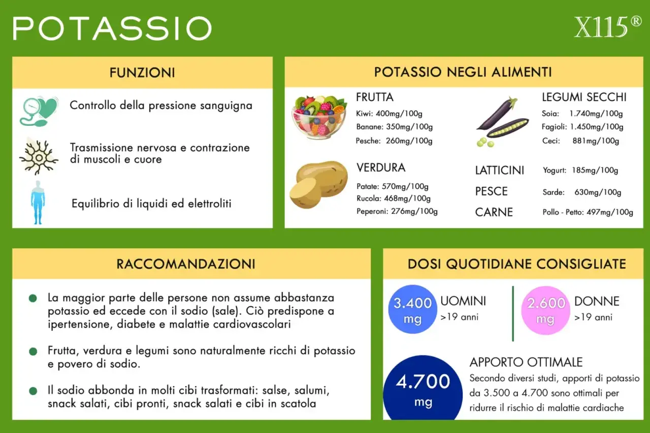 Potassio: controllo pressione, nervi, liquidi. Alimenti ricchi di potassio: frutta, verdura, legumi, pesce. Dosi consigliate per uomini e donne.