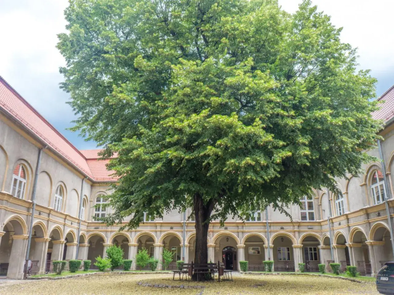 Dziedziniec z okazałym drzewem i arkadowymi krużgankami, przypominający o historii zamku w Krapkowicach.