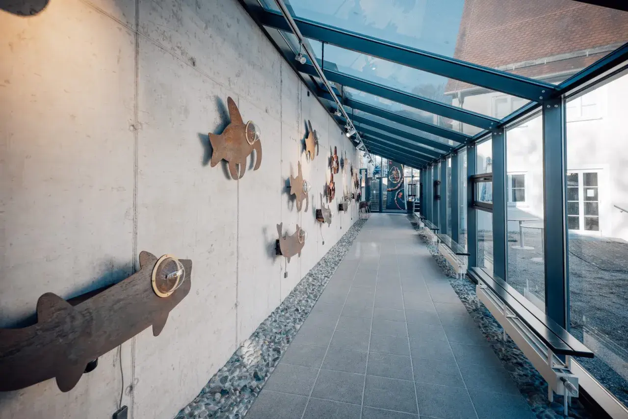 Im **Alamannenmuseum Ellwangen** schwimmen rostige Fisch-Skulpturen an einer Betonwand entlang. Ein Glasgang führt in die Tiefe.