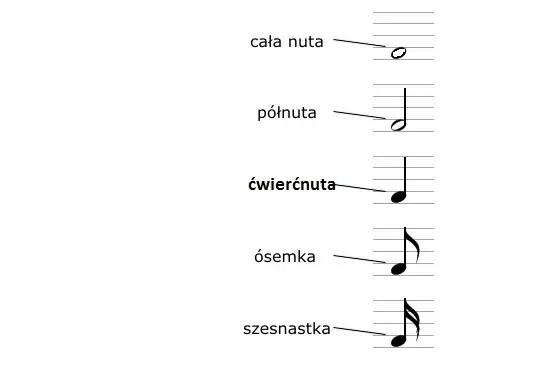 Jak wygląda cała nuta? Zrozum jej wartość i pauzę!