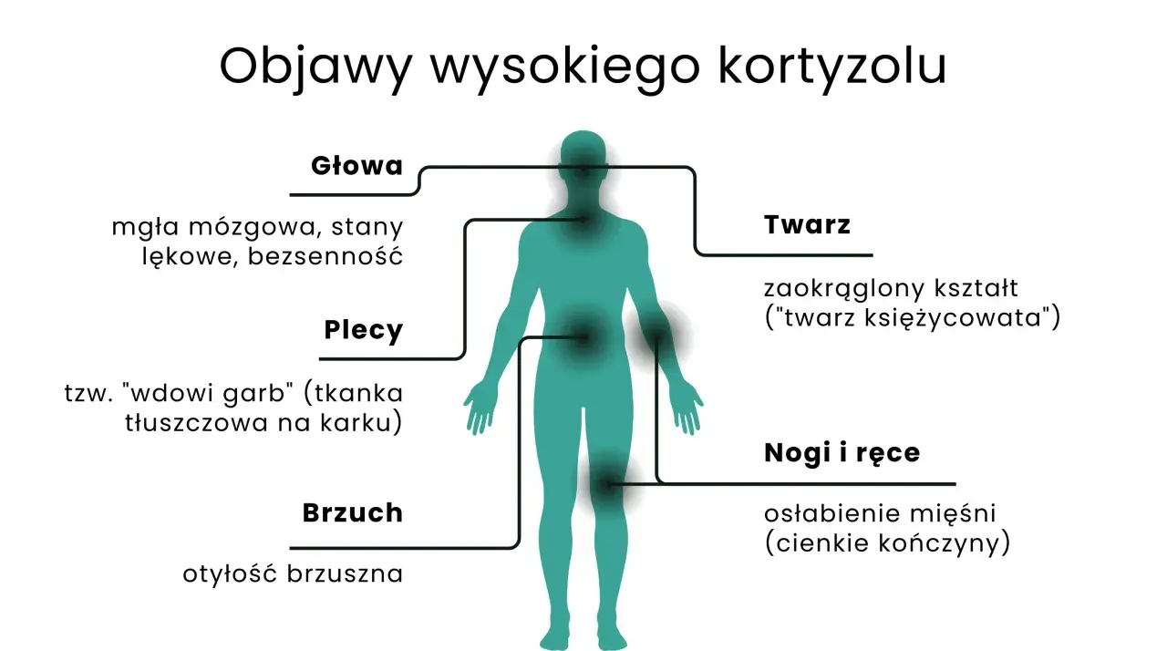 Objawy wysokiego kortyzolu: mgła mózgowa, "twarz księżycowata", garb, otyłość brzuszna, osłabienie mięśni.