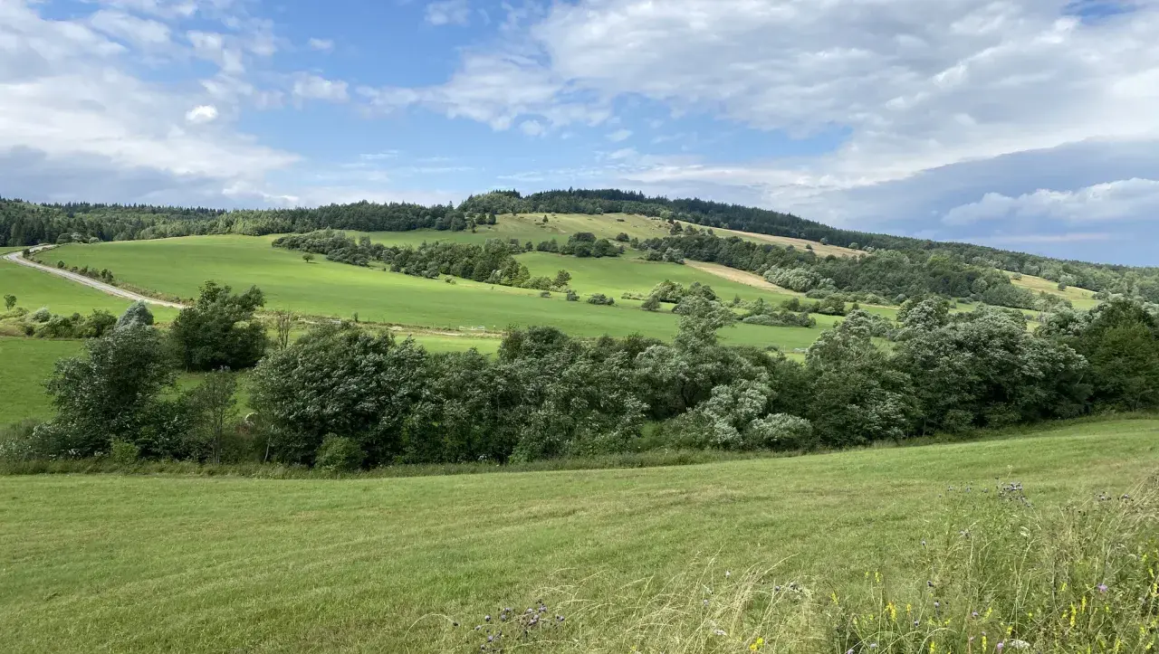 Zielone wzgórza Beskidu Niskiego, z drogą wijącą się pośród pól. W oddali widać najwyższy szczyt Beskidu Niskiego, porośnięty lasem.