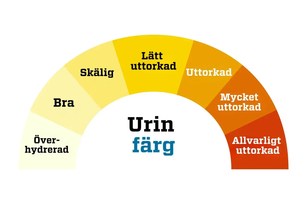 Färgkarta för urin. Indikerar vätskenivå från överhydrerad till allvarligt uttorkad. Urin luktar illa klimakteriet kan vara ett tecken på uttorkning.