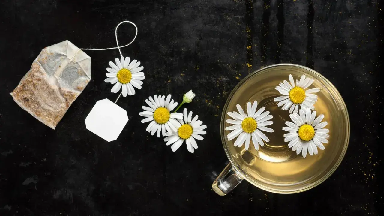 Kamillentee mit frischen Blüten und Teebeutel. Ein natürliches Hausmittel, um die Verdauung schnell anzuregen.