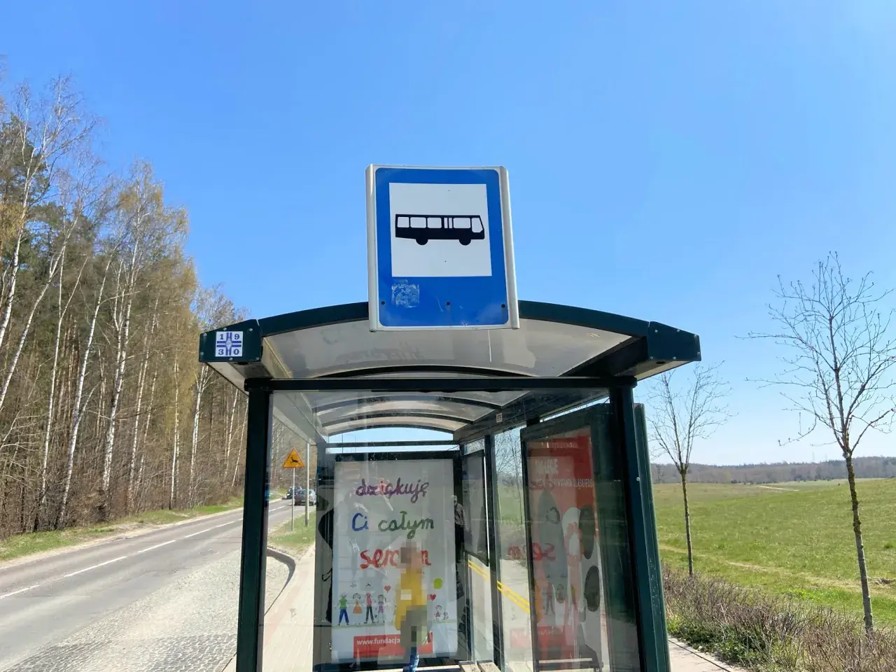 Szklane przystanki autobusowe z tabliczką informującą o transporcie publicznym, otoczone drzewami i zielonym polem.