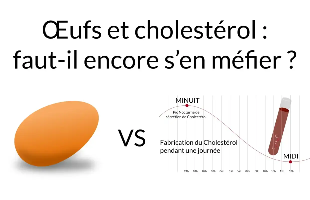 Œufs et cholestérol : faut-il encore s'en méfier ? Un œuf face à un graphique de la fabrication du cholestérol.