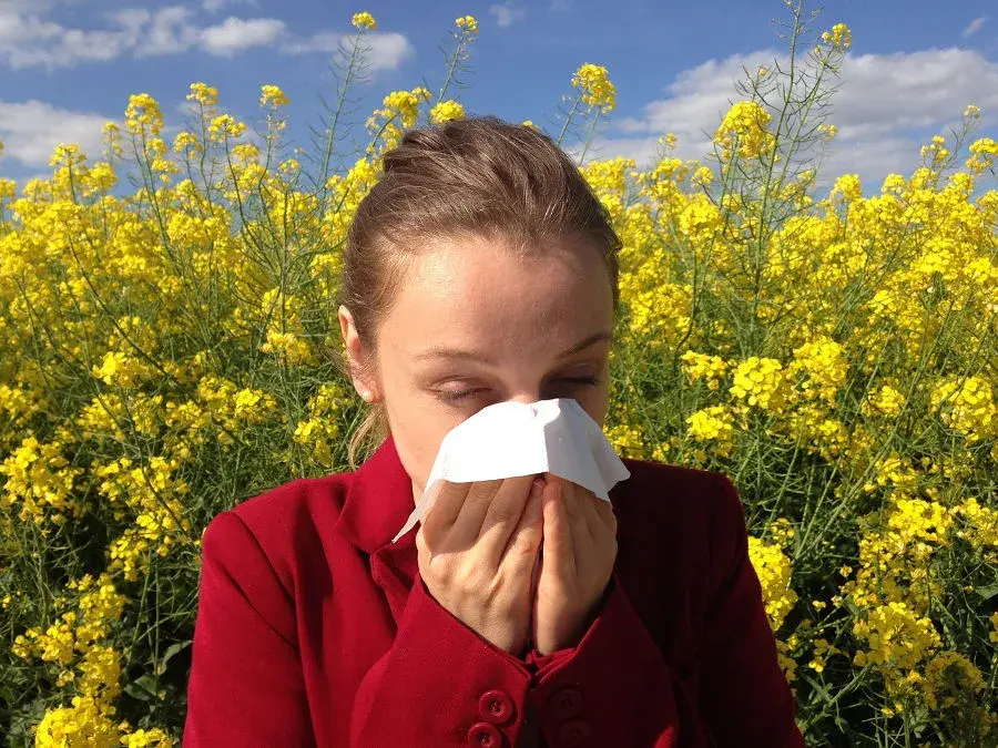 Czy alergia jest zaraźliwa? Poznaj prawdę i odróżnij ją od infekcji