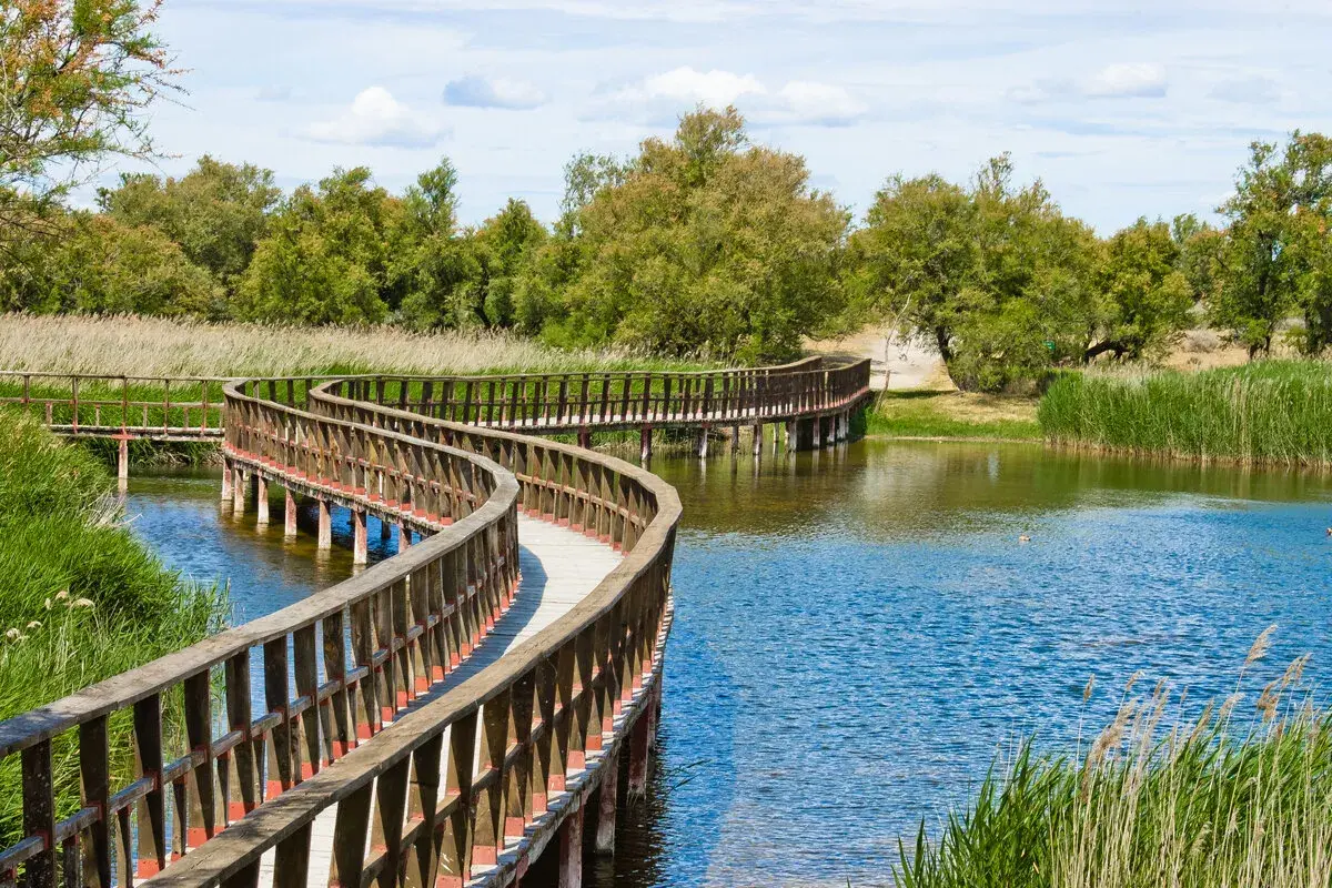 Pasarela de madera serpenteante sobre un lago, ideal para descubrir cosas que hacer cerca de Madrid y disfrutar de la naturaleza.