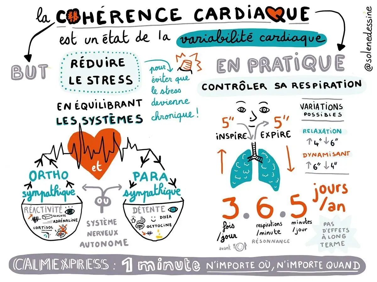 Schéma expliquant l'exercice de cohérence cardiaque pour débutant : contrôler sa respiration pour réduire le stress et équilibrer le système nerveux.