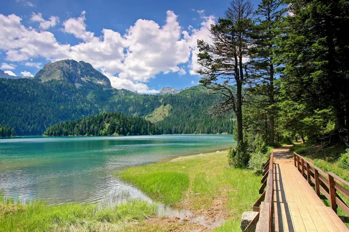 Ein Holzsteg führt durch den Wald am Ufer eines türkisfarbenen Sees im Durmitor Nationalpark. Berge und grüne Wälder im Hintergrund.