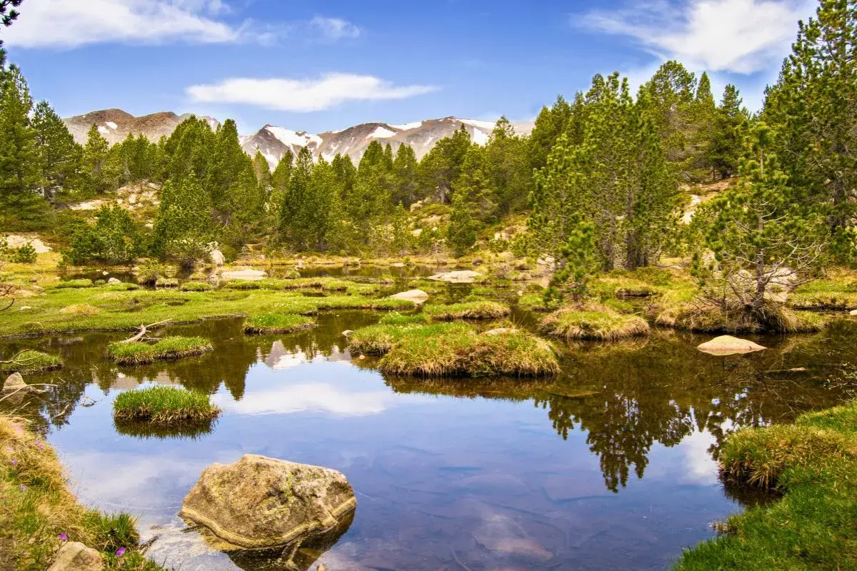 Un étang paisible reflète les pins et les montagnes enneigées, un aperçu des plus beaux endroits des Pyrénées-Orientales.