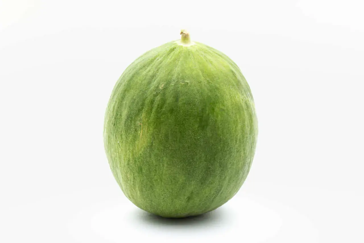Un tondo cetriolo barattiere verde, con una leggera peluria e un piccolo picciolo in cima, su sfondo bianco.