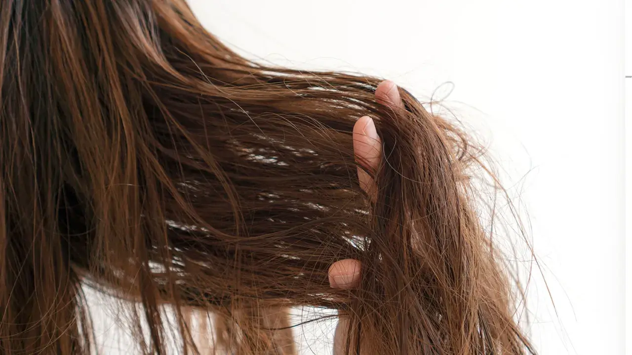 Braune Haare, die sich strohig und trocken anfühlen, werden von einer Hand durchkämmt.