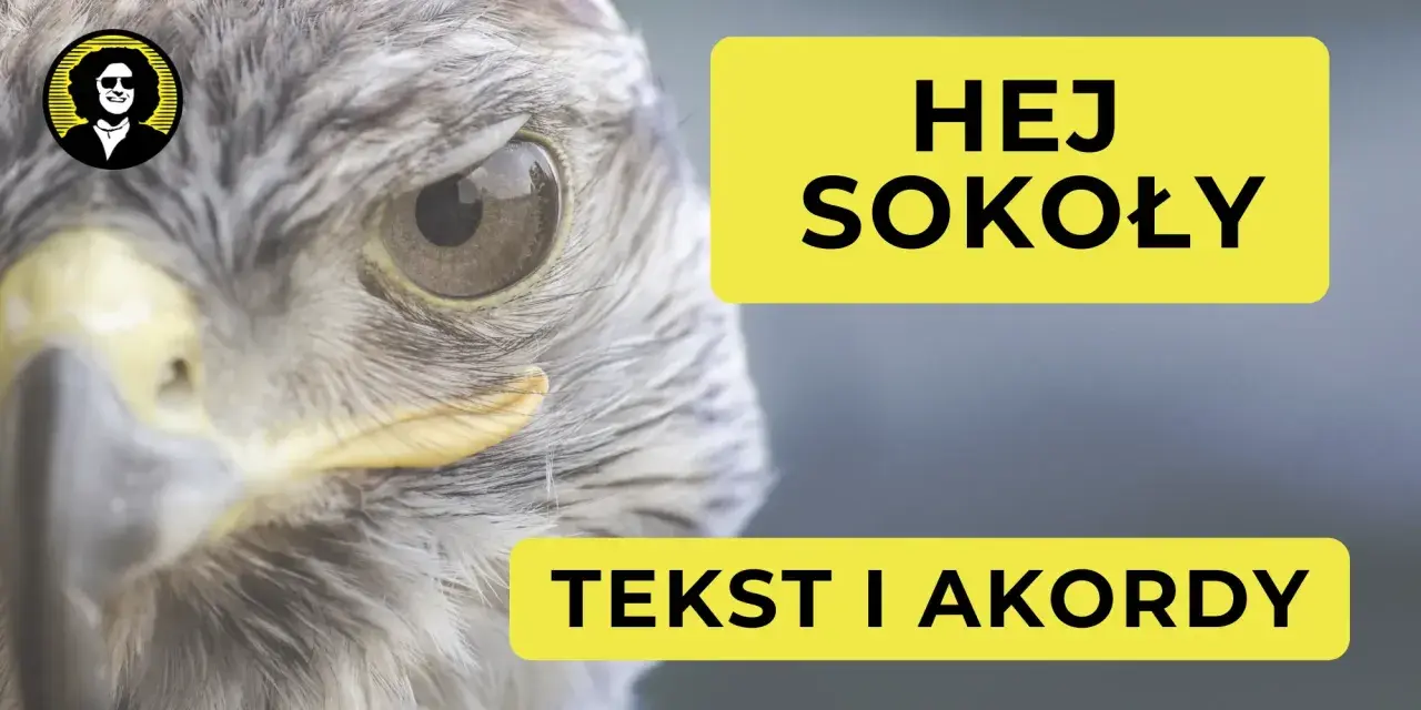 Zbliżenie na oko sokoła, obok żółty napis "HEJ SOKOŁY TEKST I AKORDY".