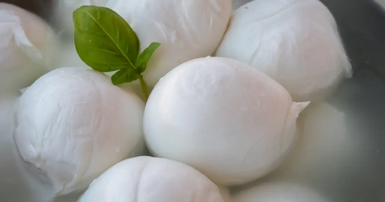 Kulki mozzarelli w wodzie, jedna z listkiem bazylii. Czy ser mozzarella jest tłusty? Zależy od rodzaju, ale ten wygląda apetycznie.