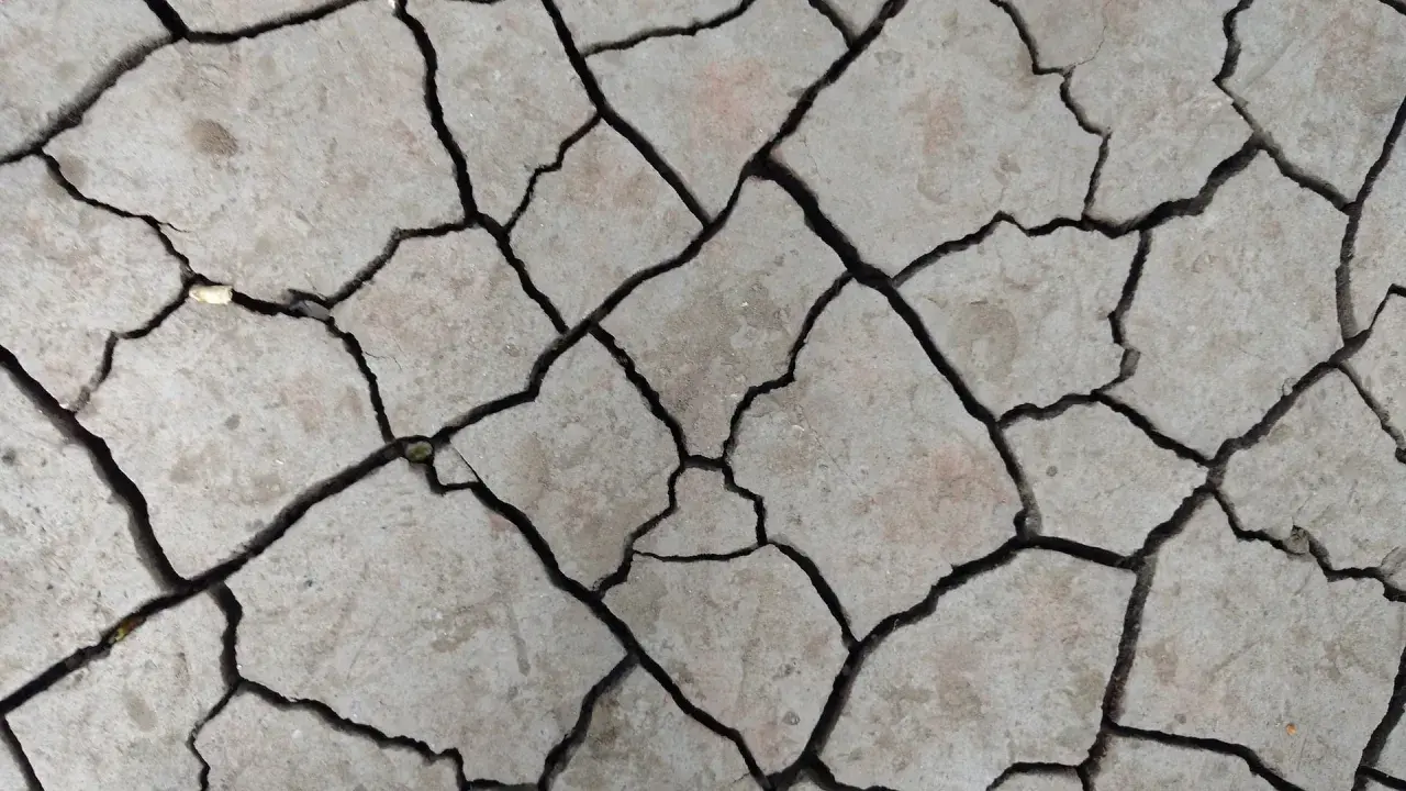 Tierra agrietada, como si la hubieran partido las fuerzas de un terremoto. Un paisaje árido que invita a soñar con terremoto.