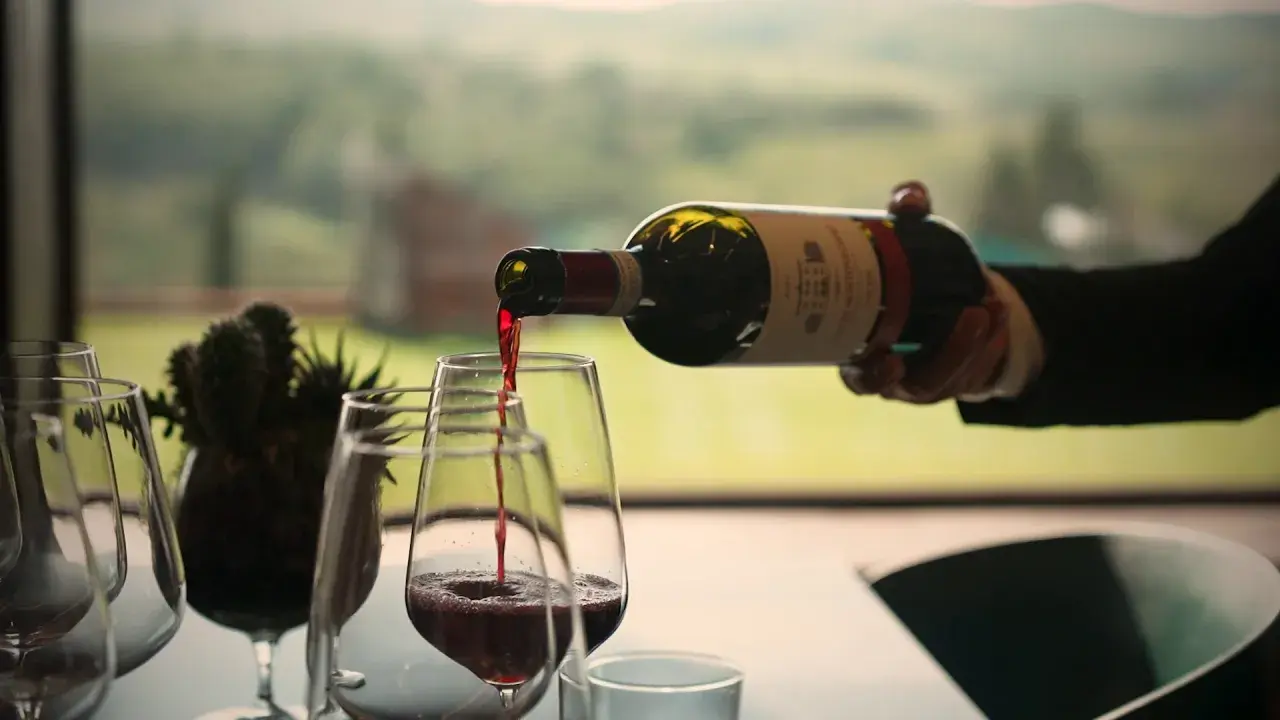 Versando vino rosso in un calice, un gesto che rispetta il disciplinare di produzione vino. Paesaggio verdeggiante sullo sfondo.