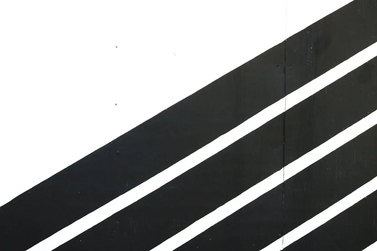 Líneas diagonales negras y blancas que evocan un pensamiento polarizado, sin matices intermedios.