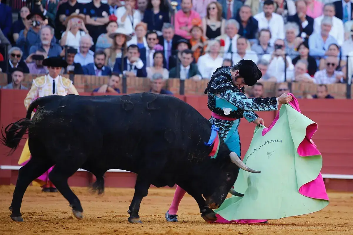 Un torero se enfrenta a un toro bravo en la arena, con el público observando. Los toros del torero son el centro de atención.