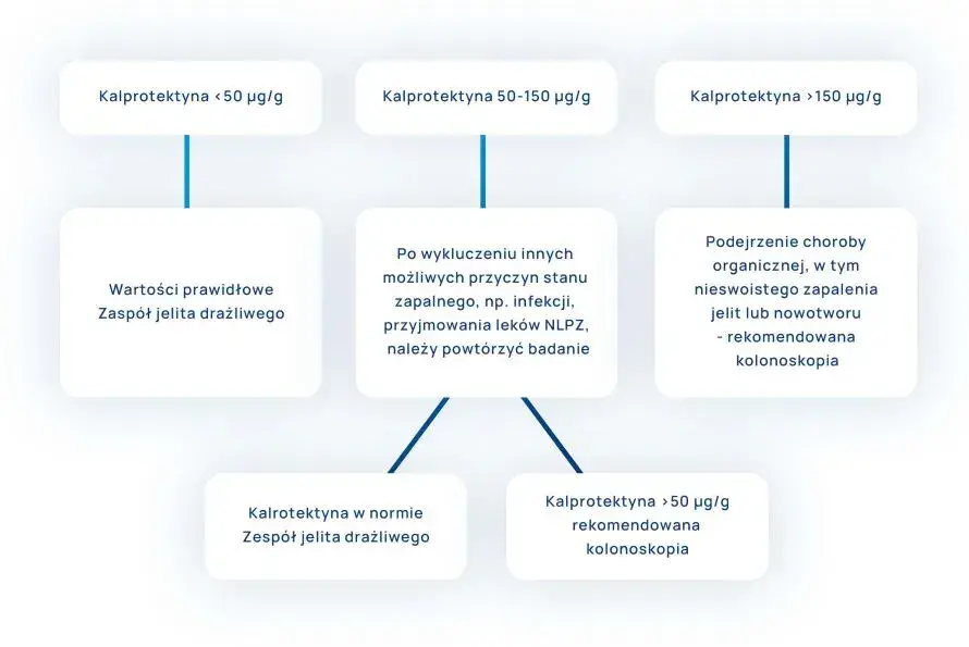 Wysoka kalprotektyna w kale: Co to oznacza dla twojego zdrowia?