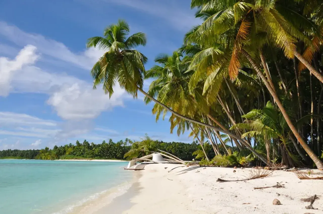 Plage paradisiaque aux Iles Salomon, cocotiers penchés sur le sable blanc et l'eau turquoise. Un rêve éveillé.