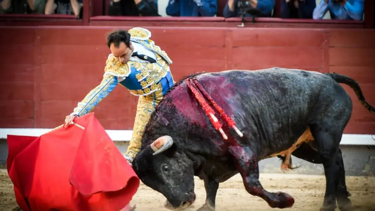 Un torero con traje de luces se enfrenta a un toro herido en la arena. El toro, con sangre en el lomo, embiste con fuerza.