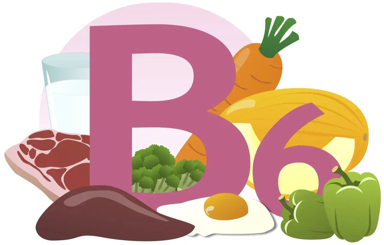 Wielka litera B i cyfra 6 otoczone produktami bogatymi w witaminę B6: mleko, mięso, wątróbka, jajko, brokuły, marchew, melon i papryka.